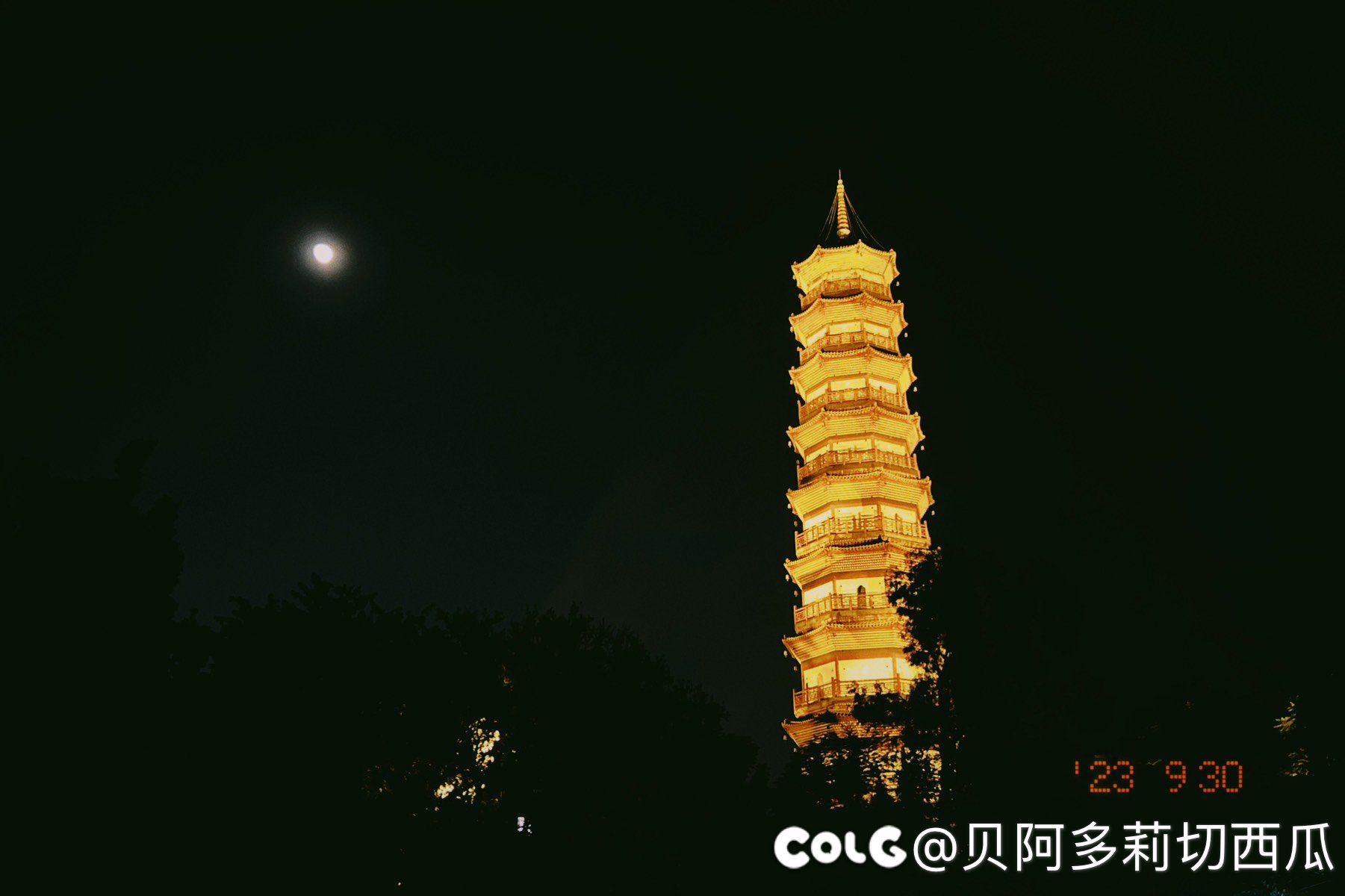 广州吃吃喝喝的一天（多图）37
