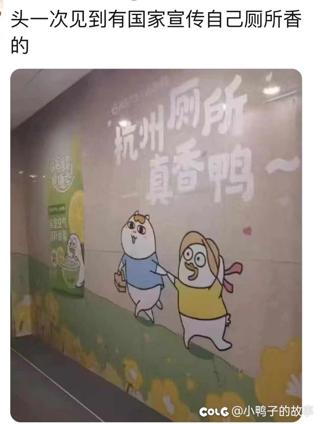 杭州的网友们这是真的吗1