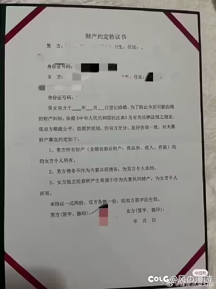 胖虎条款：你的就是我的，我的还是我的1