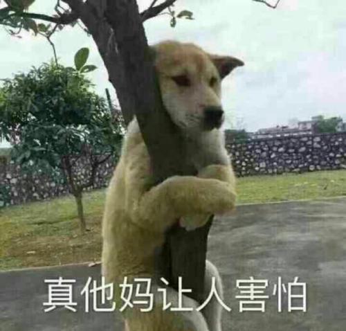 有没有牙科大佬看看我这长的是啥？1
