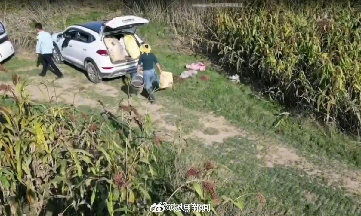 网友发布视频称河南信阳有执法人员带人偷红高粱2