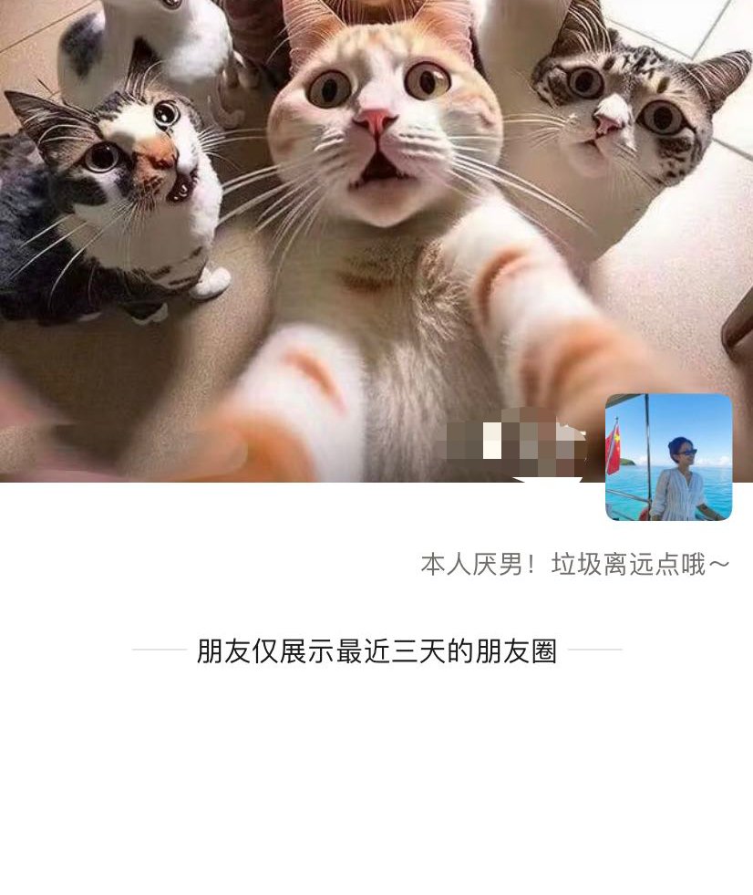 偶尔看到一个朋友圈消失了，点进去一看，加速吧1