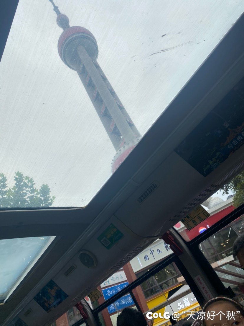 真的是观光客旅游了2