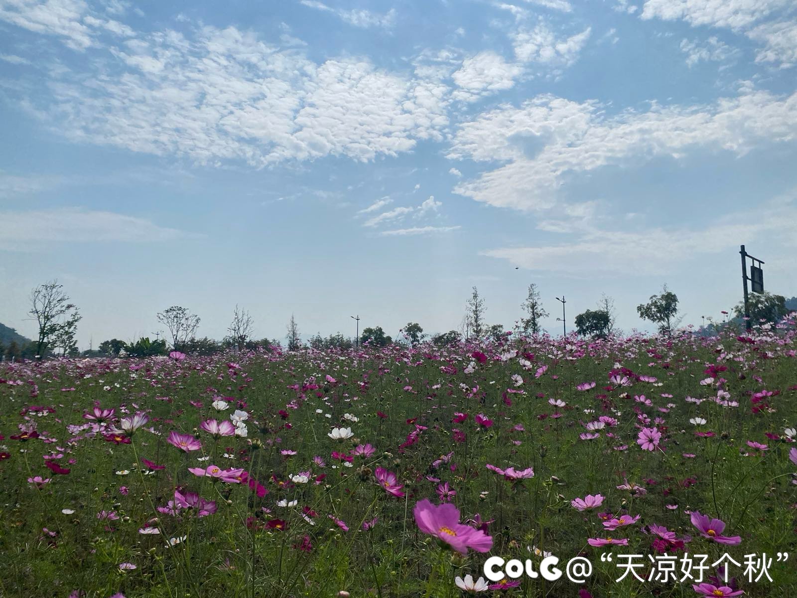 周末遛遛娃 散散心1