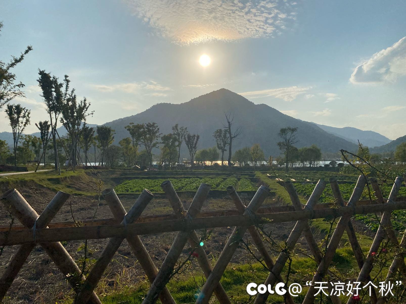想起了五柳先生的一句诗2
