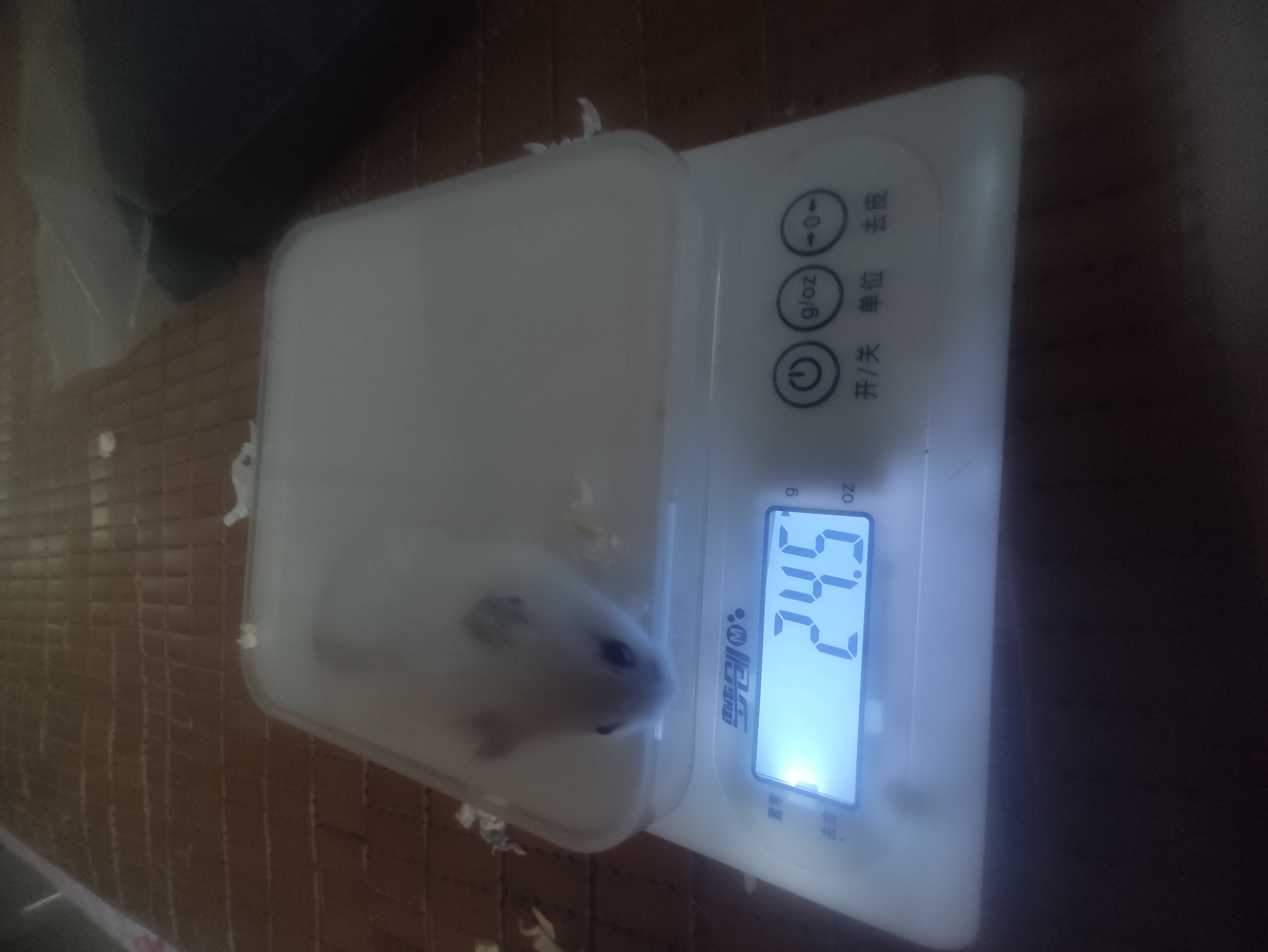 20天，老大太能打了，提前收监。1
