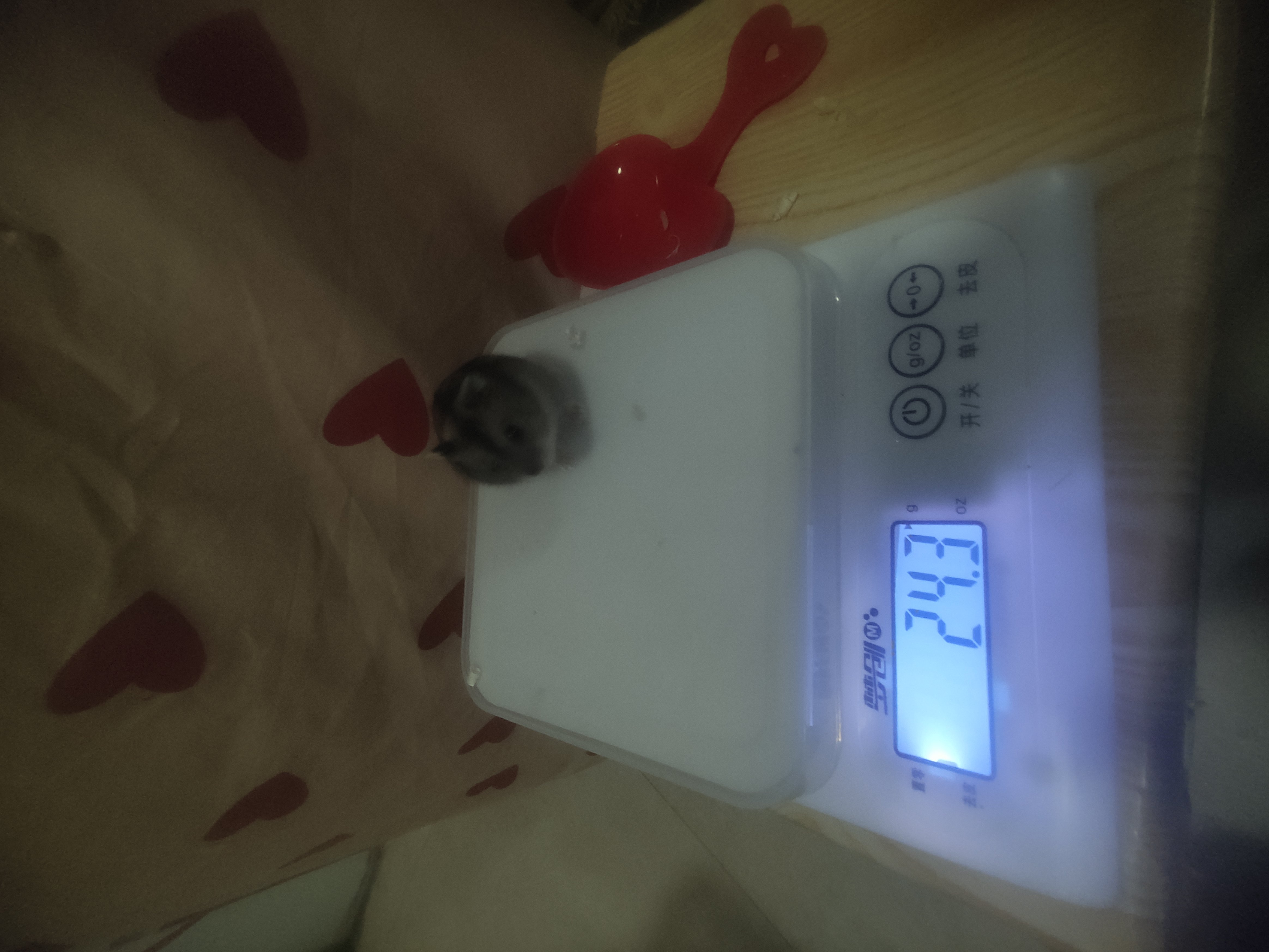 21天，继续收监。1