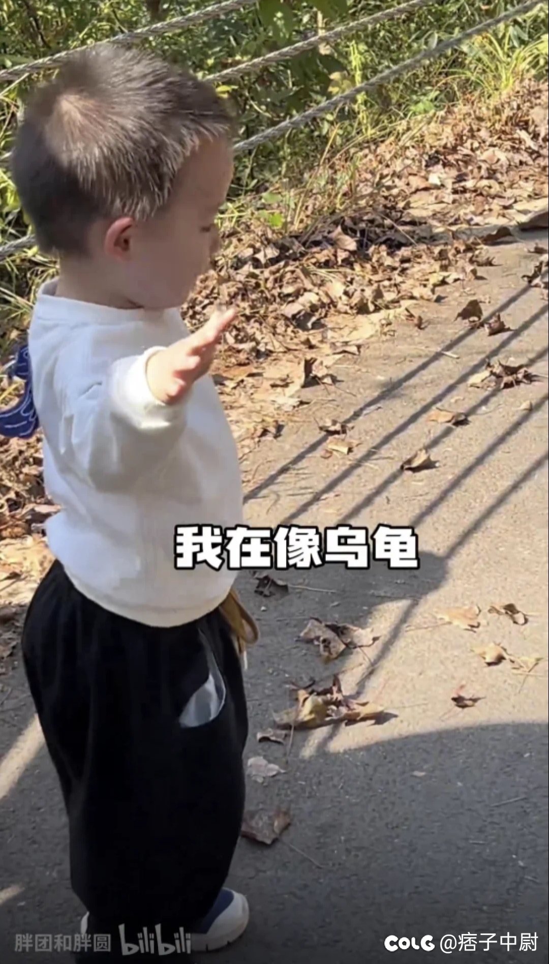 我在像乌龟！1