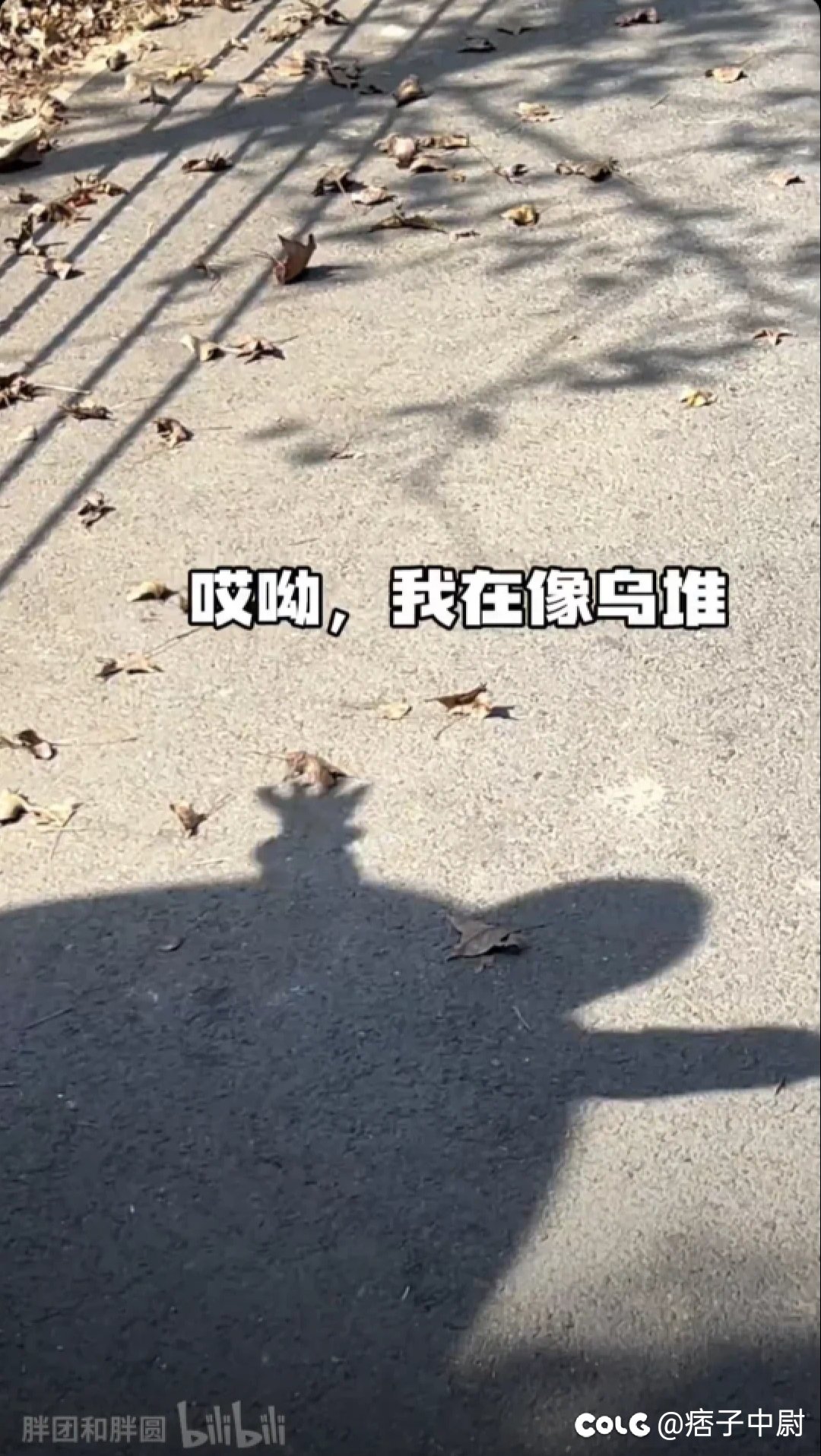 我在像乌龟！2
