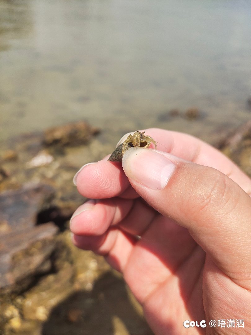 水景混分贴：假期没了，上班脑袋空空的7