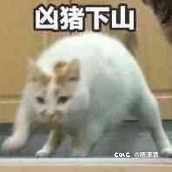 猪瘾再犯：23块吃73块的肯德基宵夜桶3