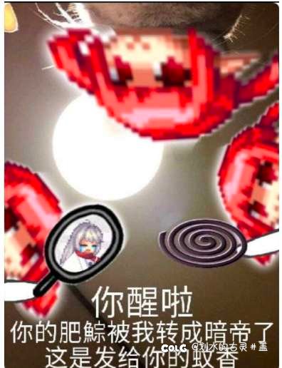 小团体纳新啦1