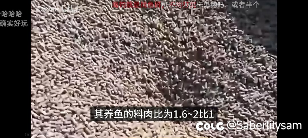全国各地的禁渔区内，都有人在公开钓鱼4