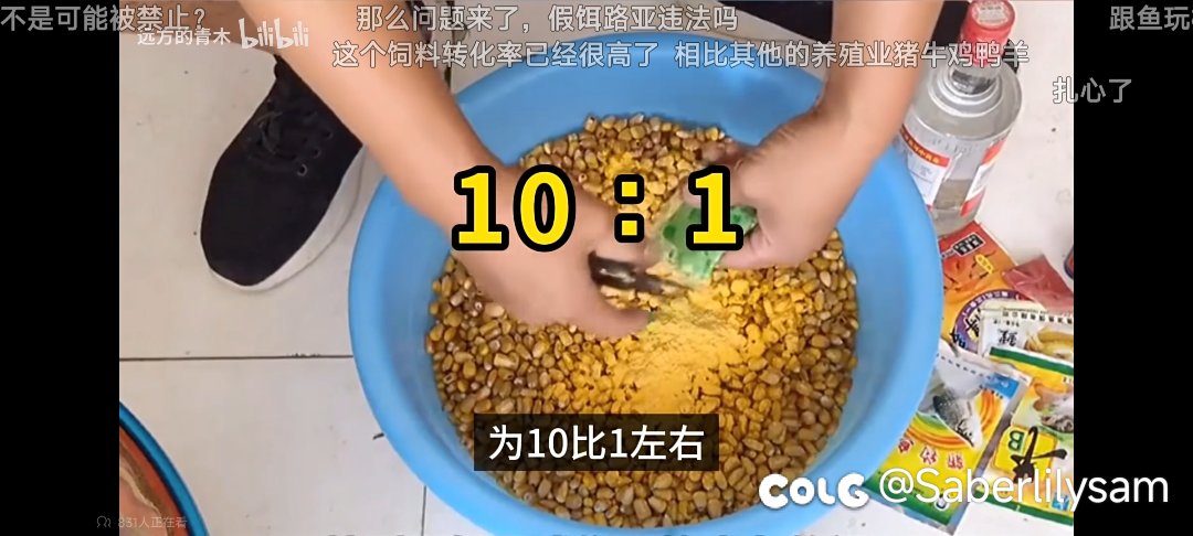 全国各地的禁渔区内，都有人在公开钓鱼5