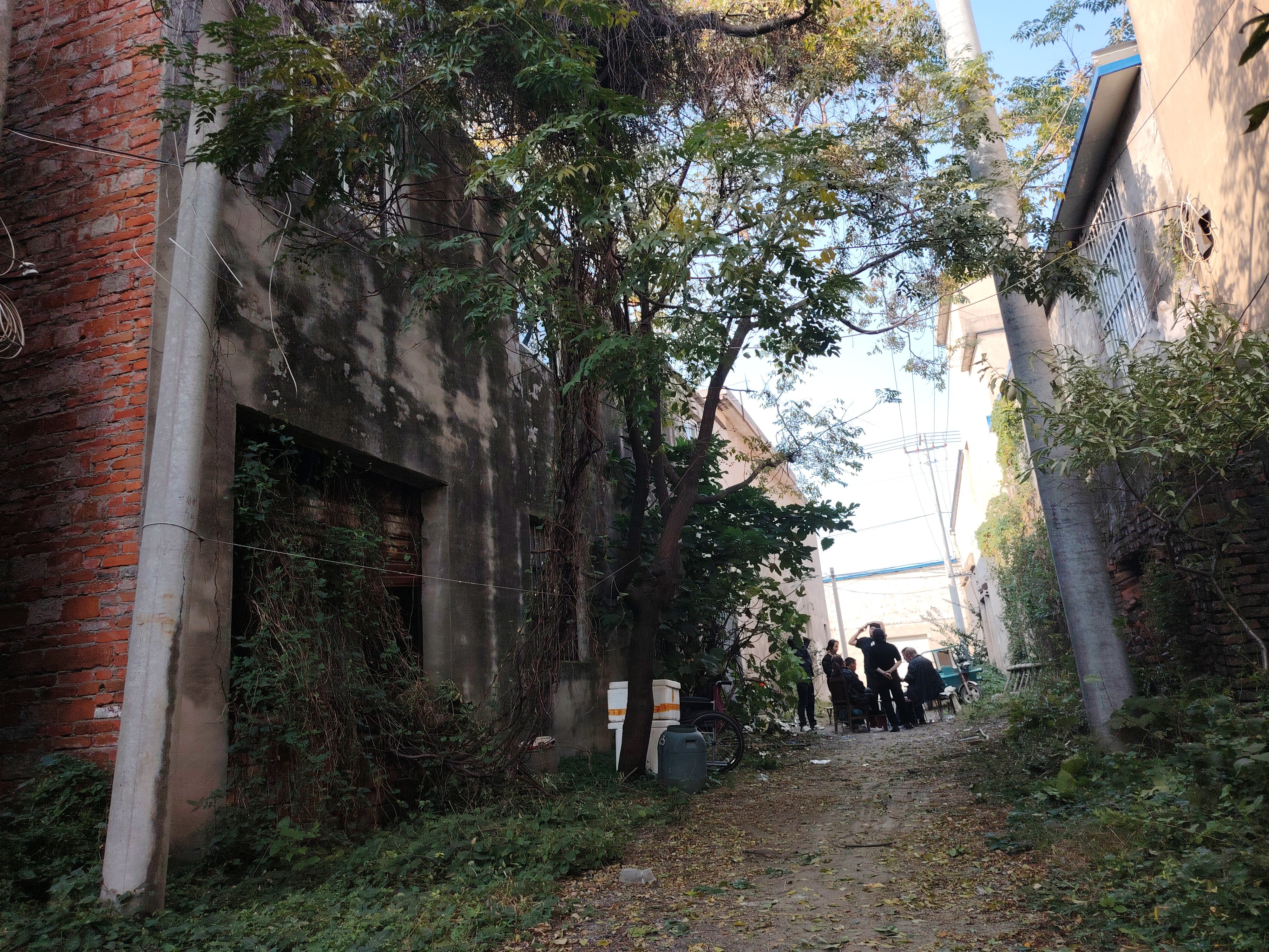 给姥姥家的房子拍个照片1