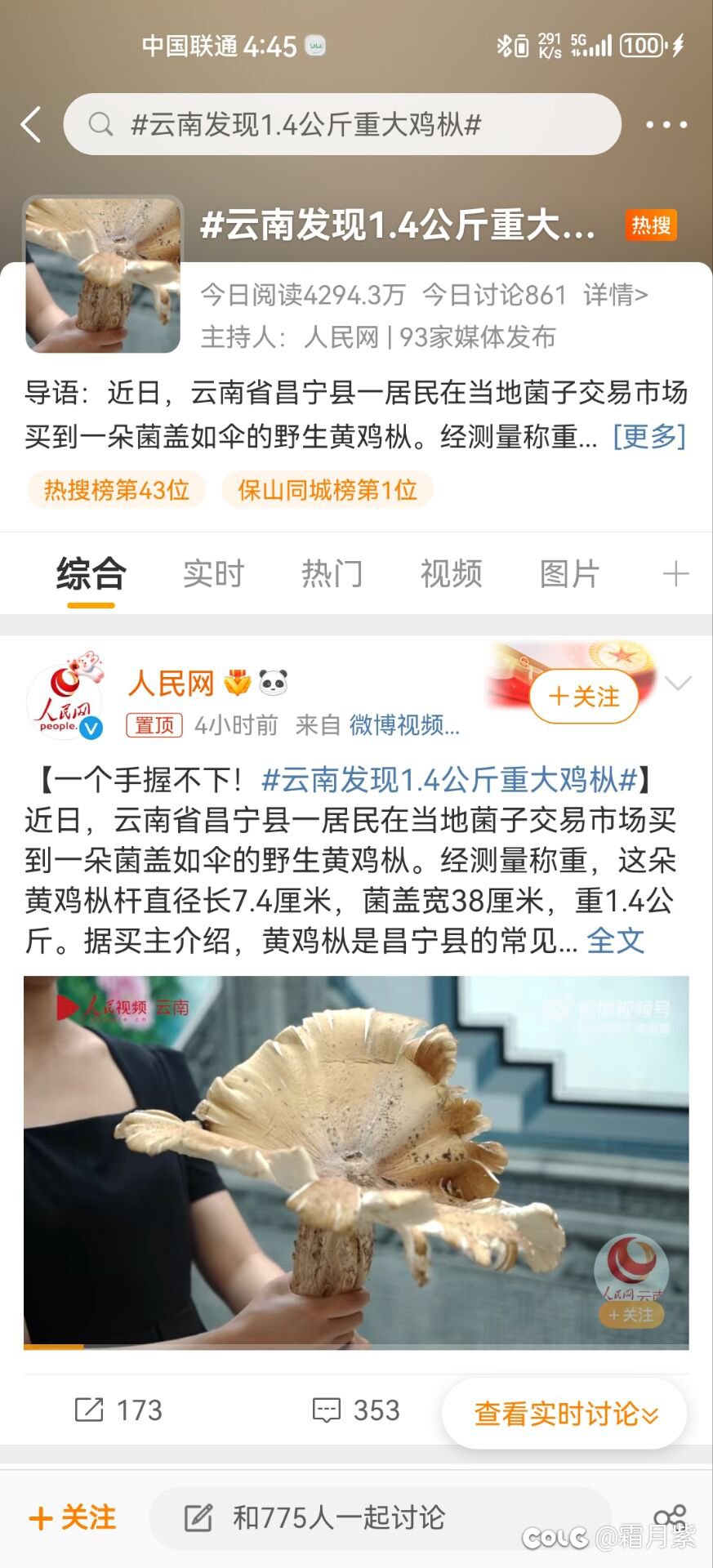 云南发现1.4公斤重大鸡枞1
