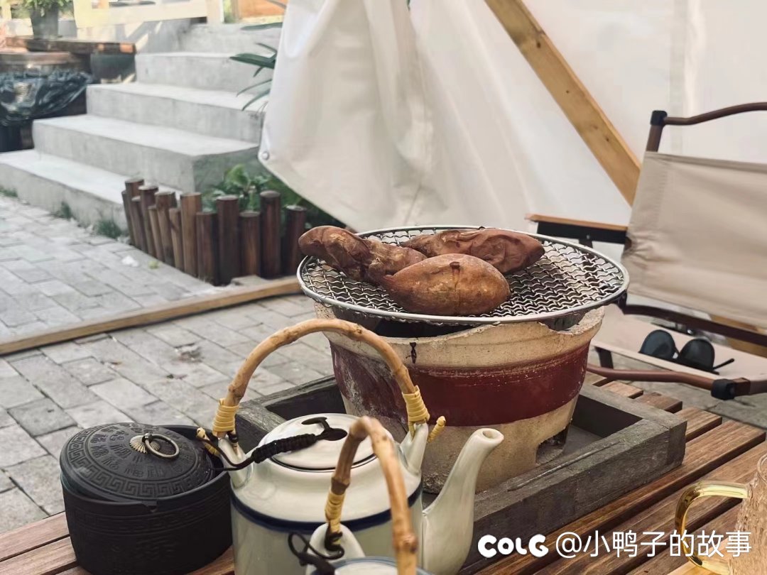秋日的阳光，暖人又惬意2