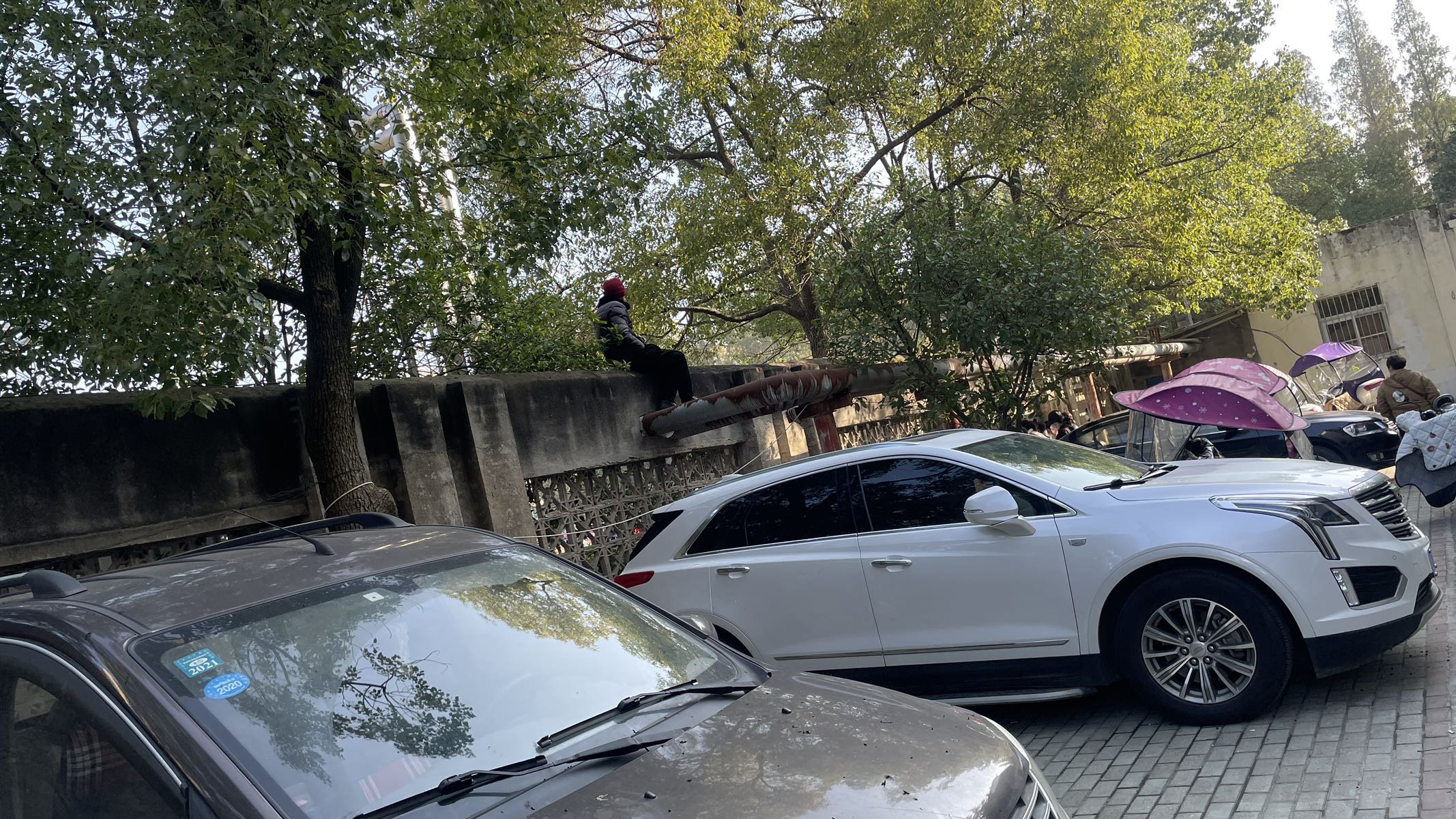 学校开运动会。我在学校院墙上看到一位热心家长1