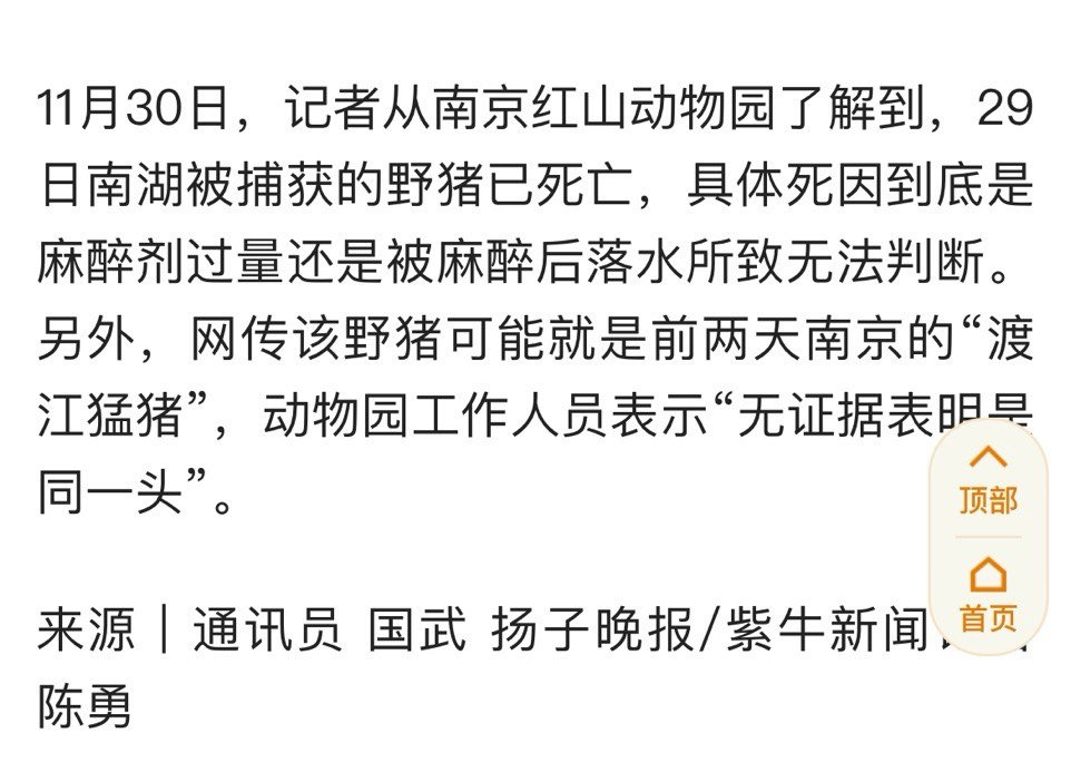 悲报：二师兄没了1