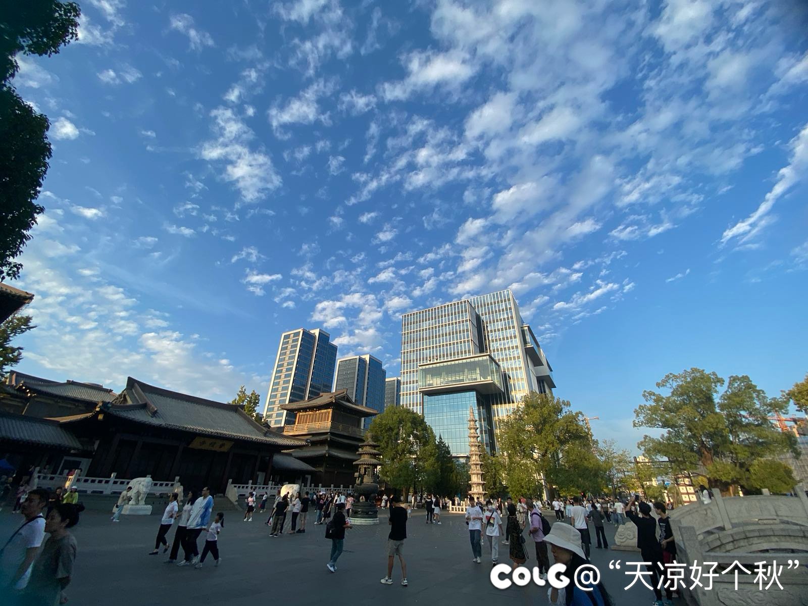 再热也得遛遛娃。。。6