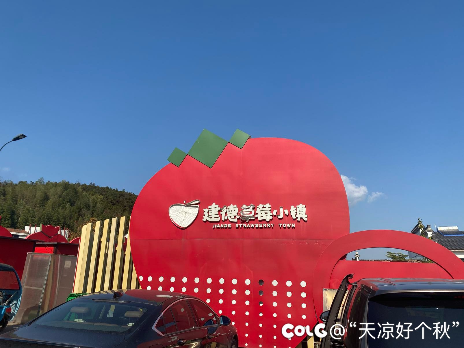 现在刚上市的草莓真是贵2