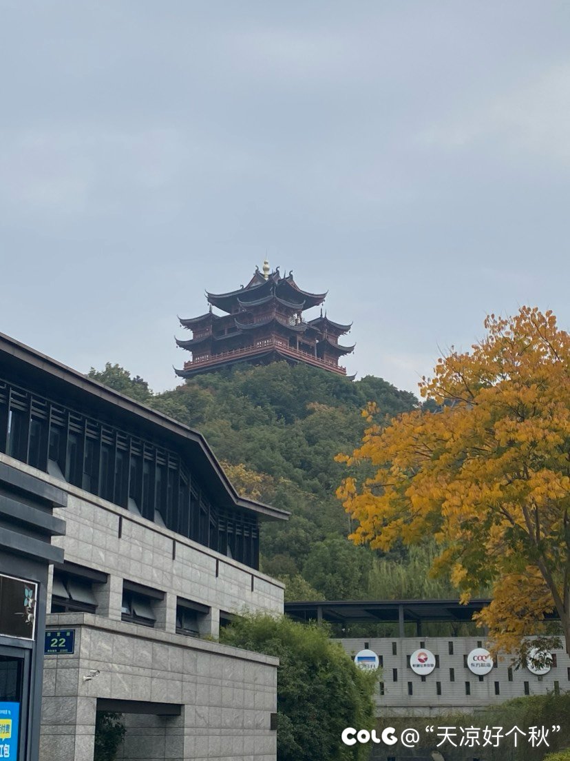 德寿宫遗址博物馆  遛娃1