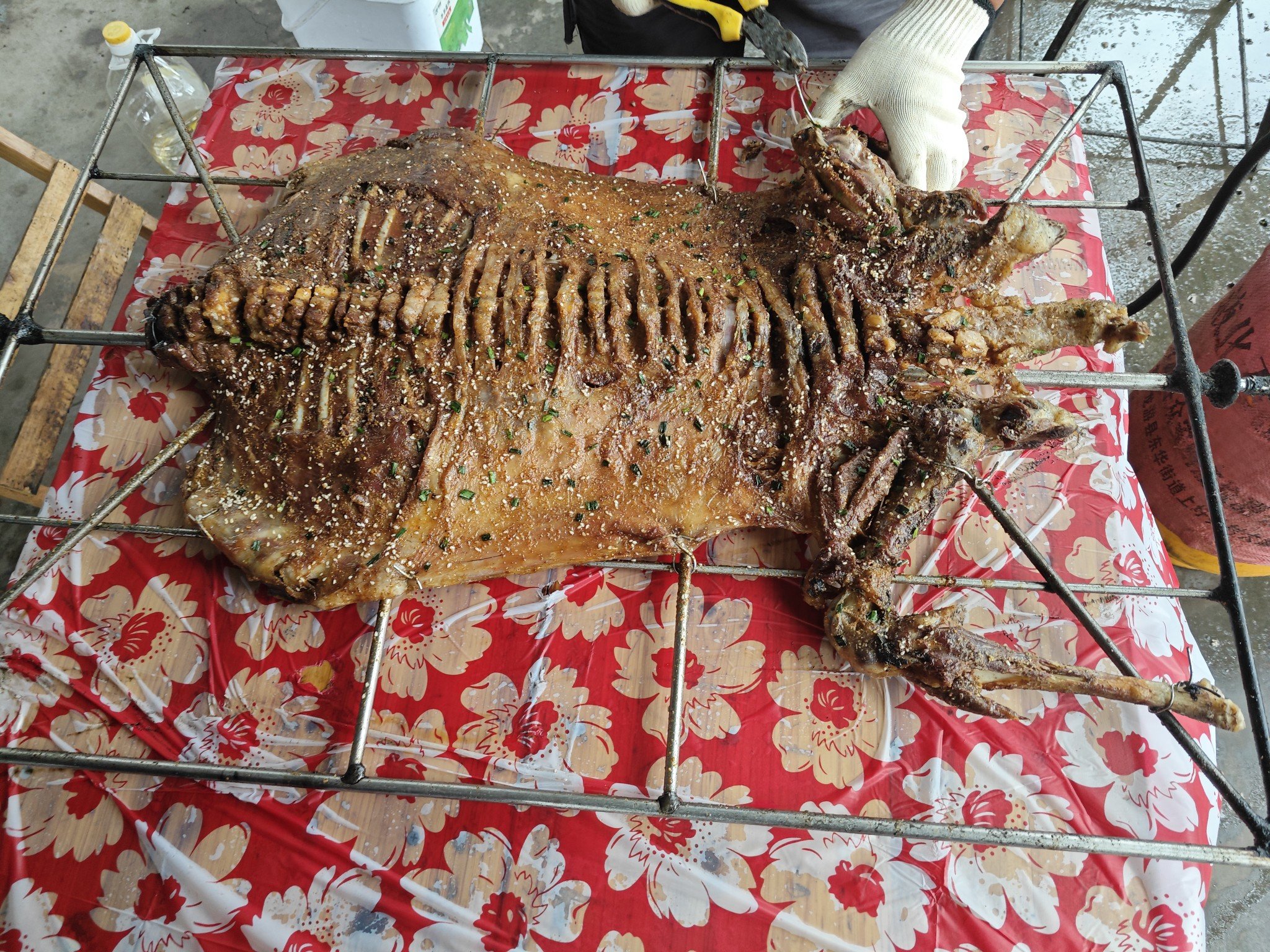 起床咯3
