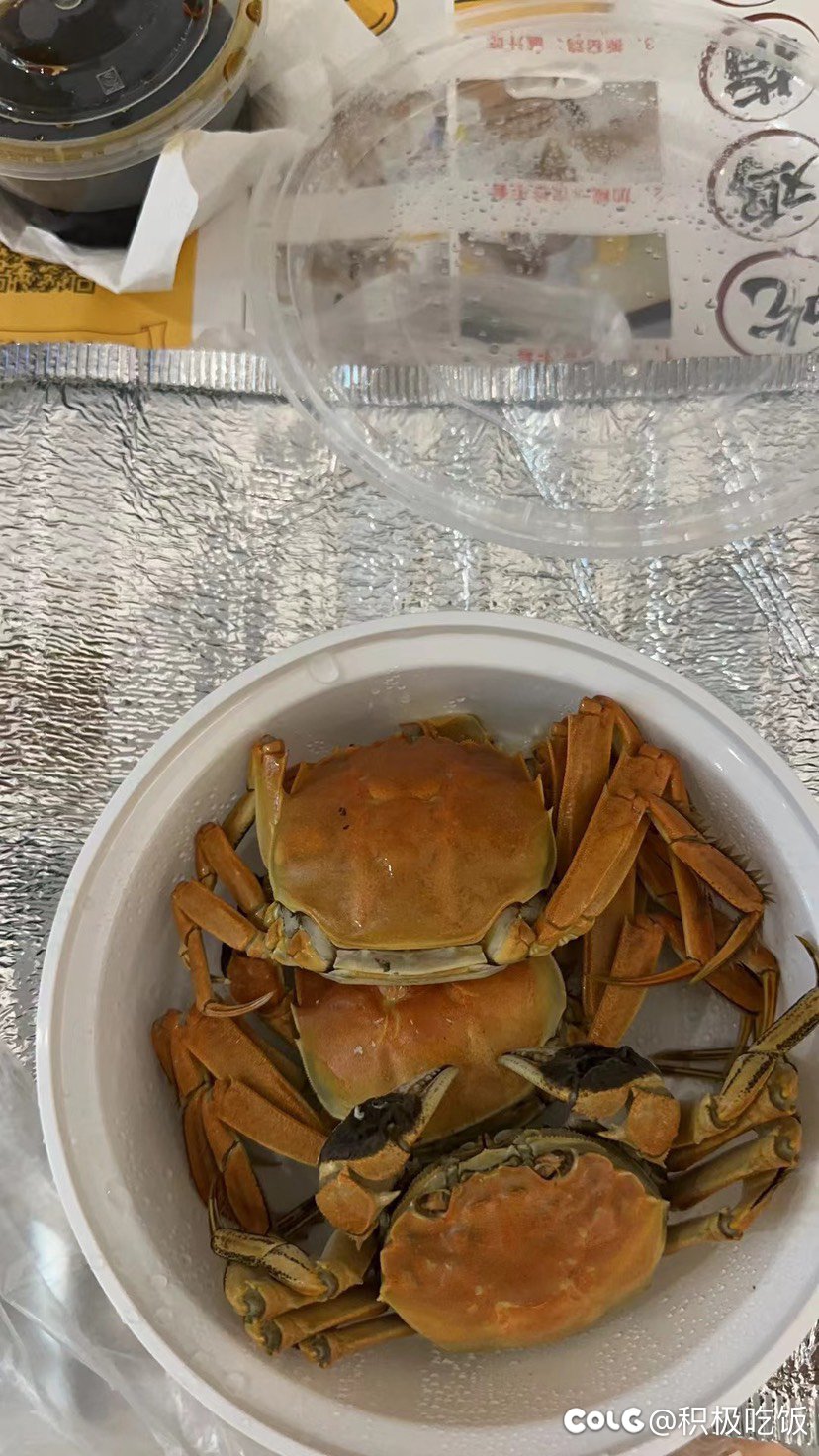 整点窑鸡和螃蟹1
