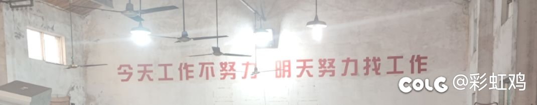 今天工作不努力，明天努力找工作1