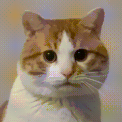 史诗之路出的自定义能跨界么1