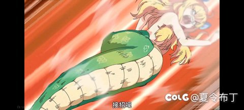 夹心酱大萝卜鸡2