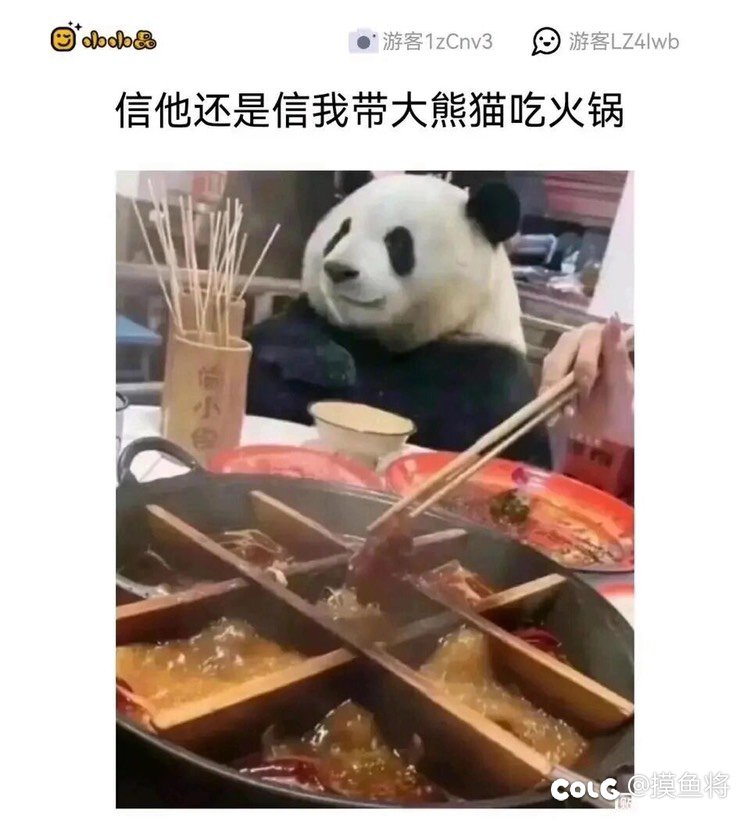 耶耶耶好耶又送+13了，太好了！3