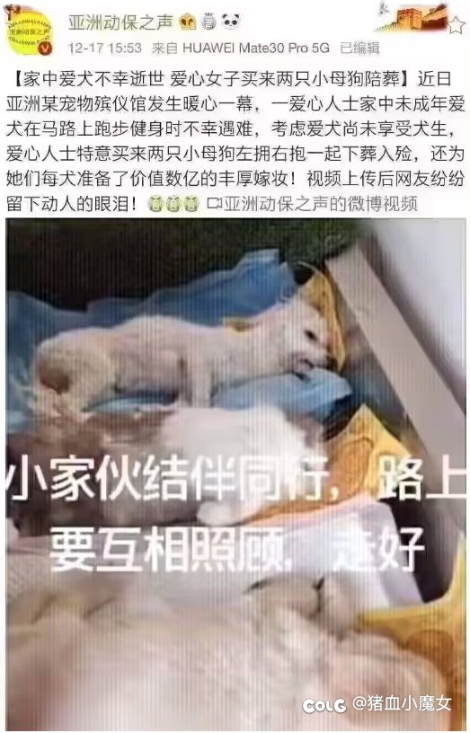水水一下2