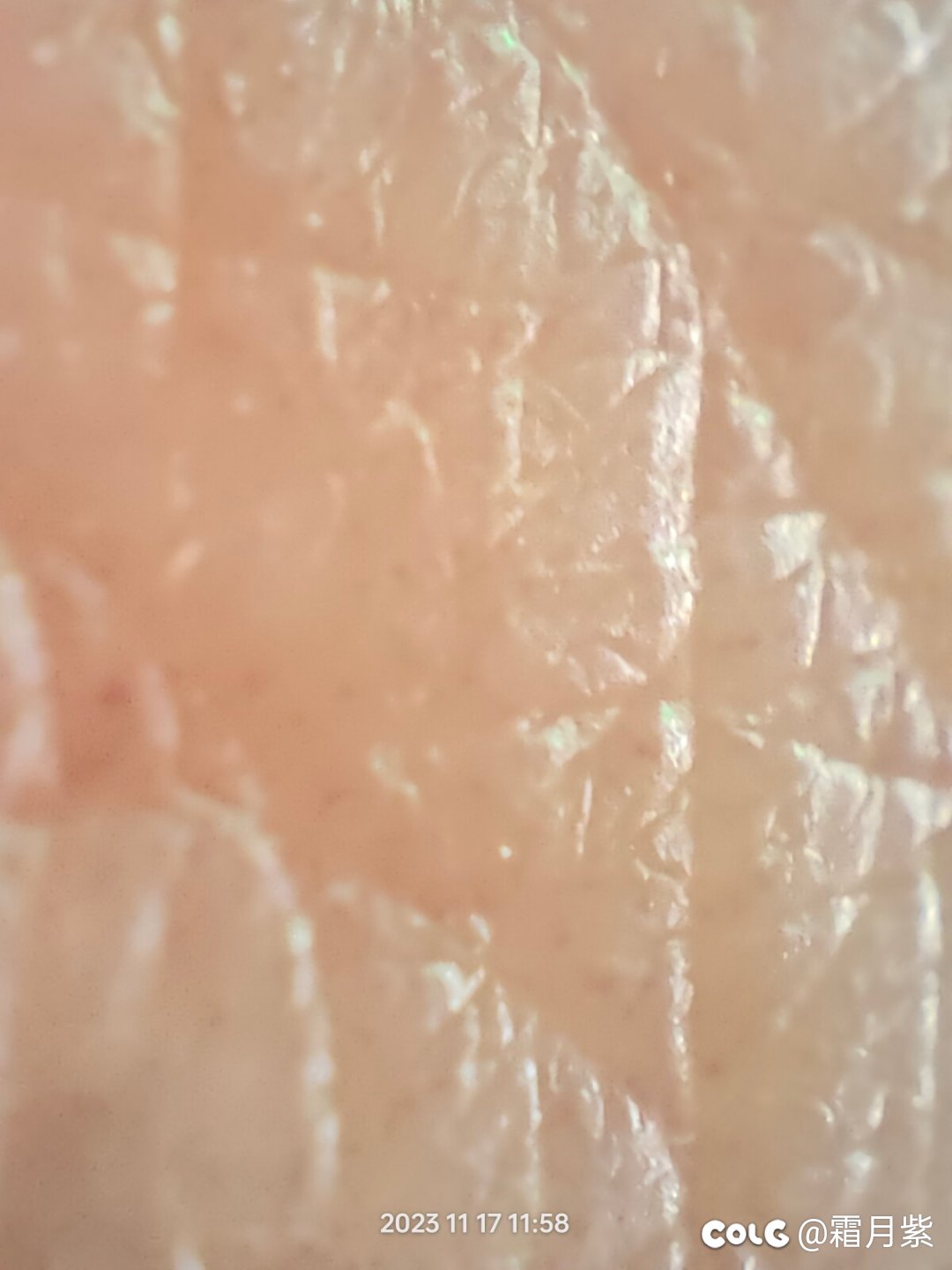 手机这个显微镜还挺好玩的3