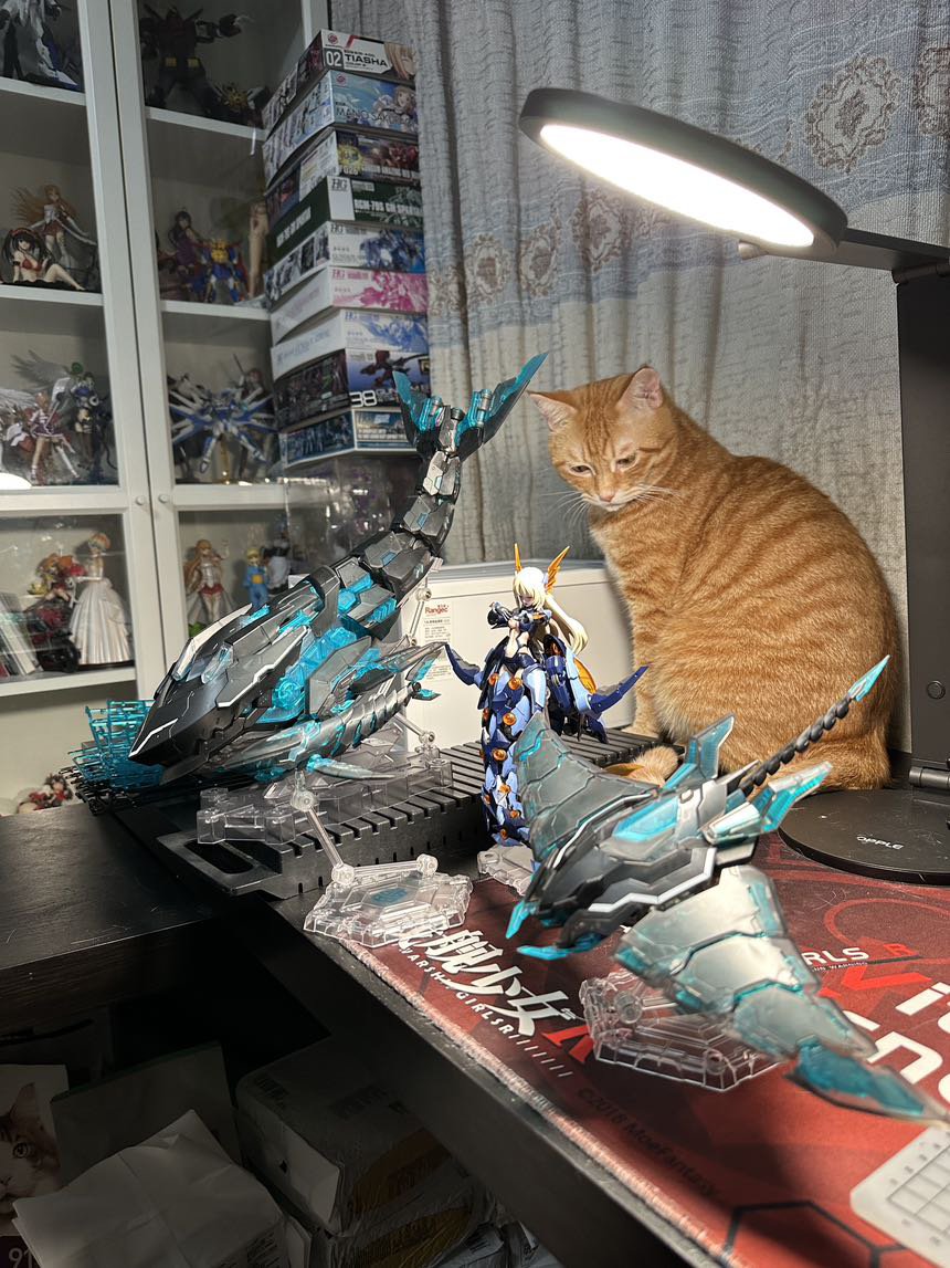 今天给家里的猫猫搞了几条鱼。。1