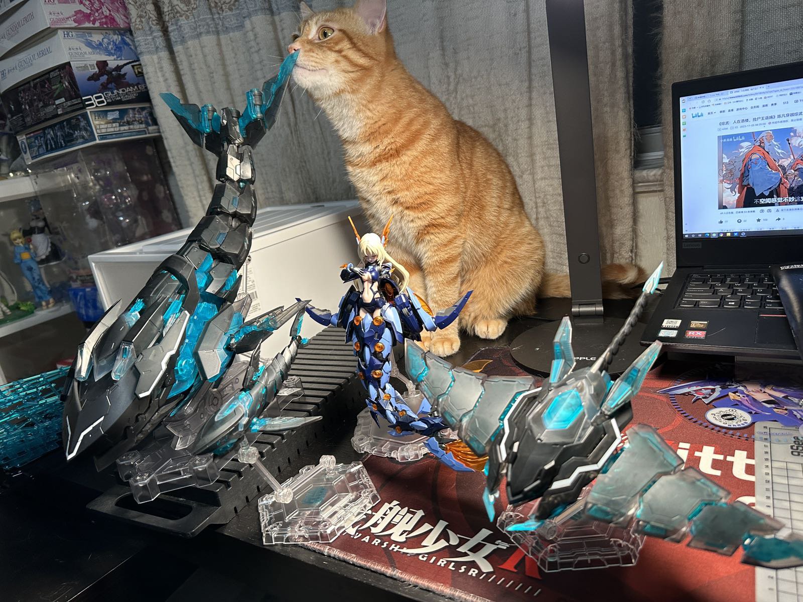 今天给家里的猫猫搞了几条鱼。。2