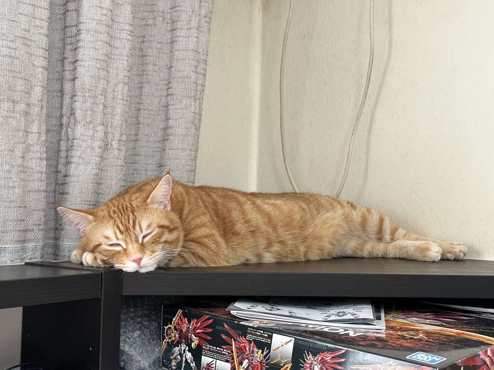 今天给家里的猫猫搞了几条鱼。。5
