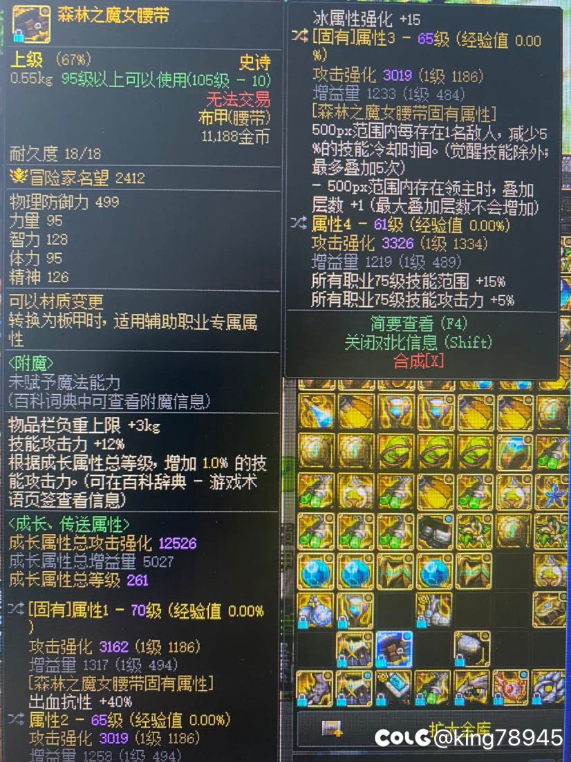 魔女腰带牛。1