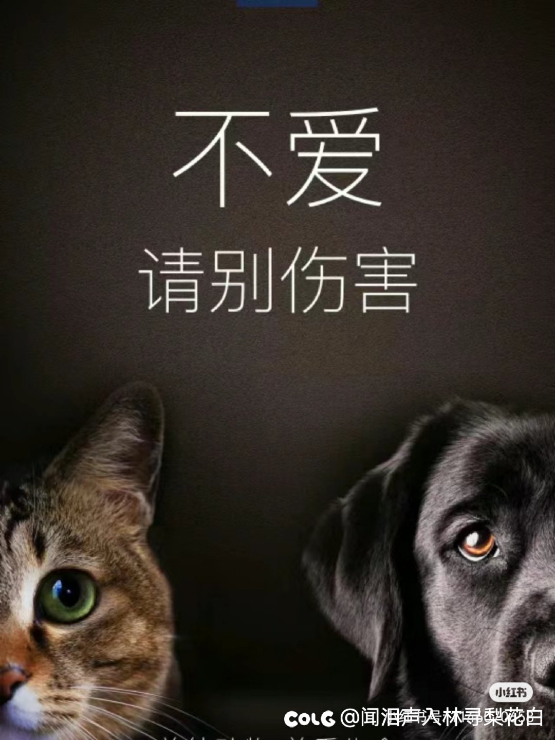 最近很火的图以及言论1