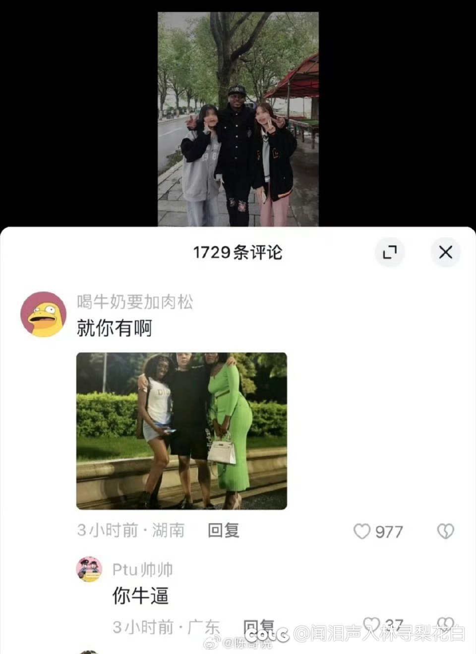 纽币纽币纽币1