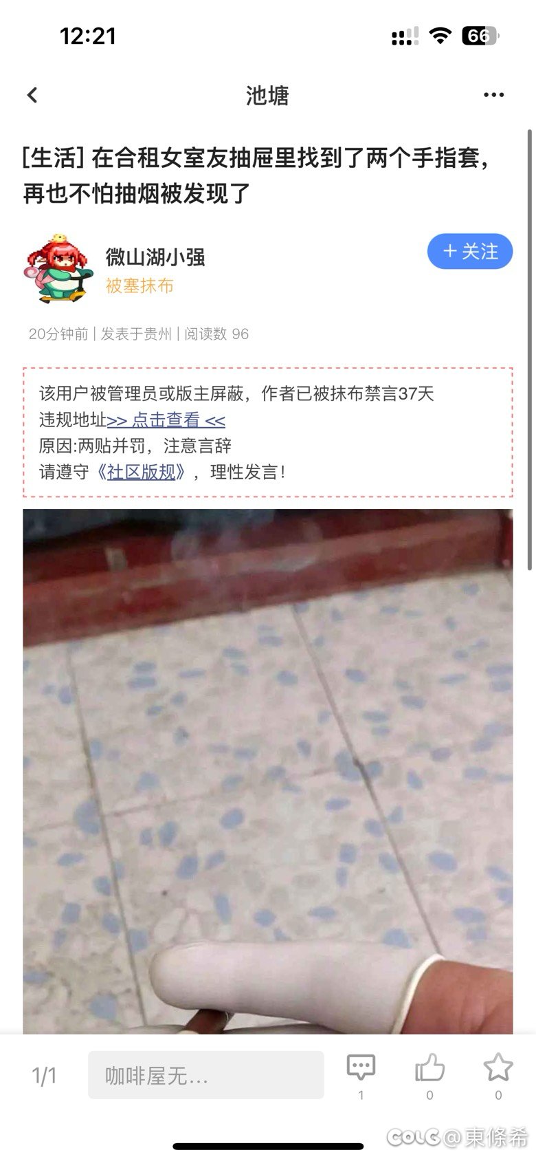 哪里来的引流玩意儿啊2