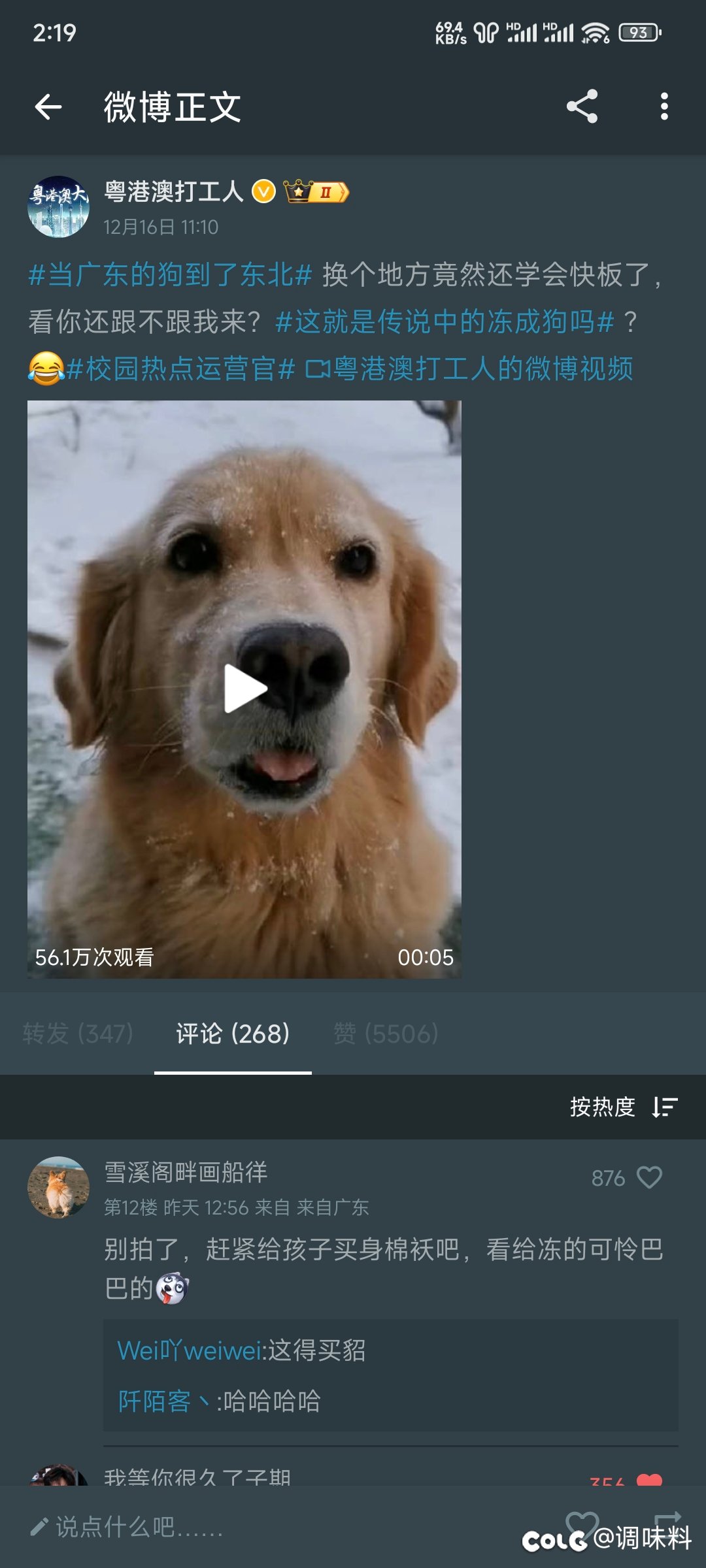 这些剑比砸种摆拍狗1