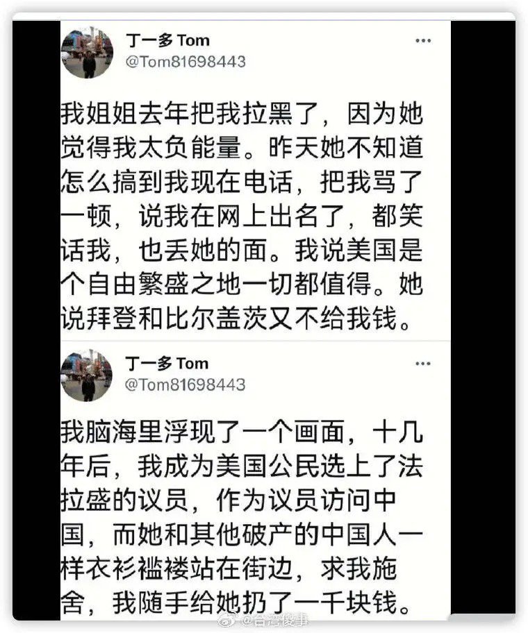 电子宠物丁议员好像被抓了2