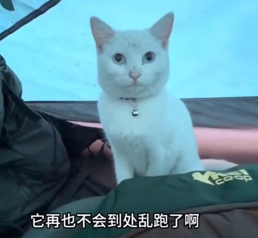 眼神中有一种平静的对生活的妥协1