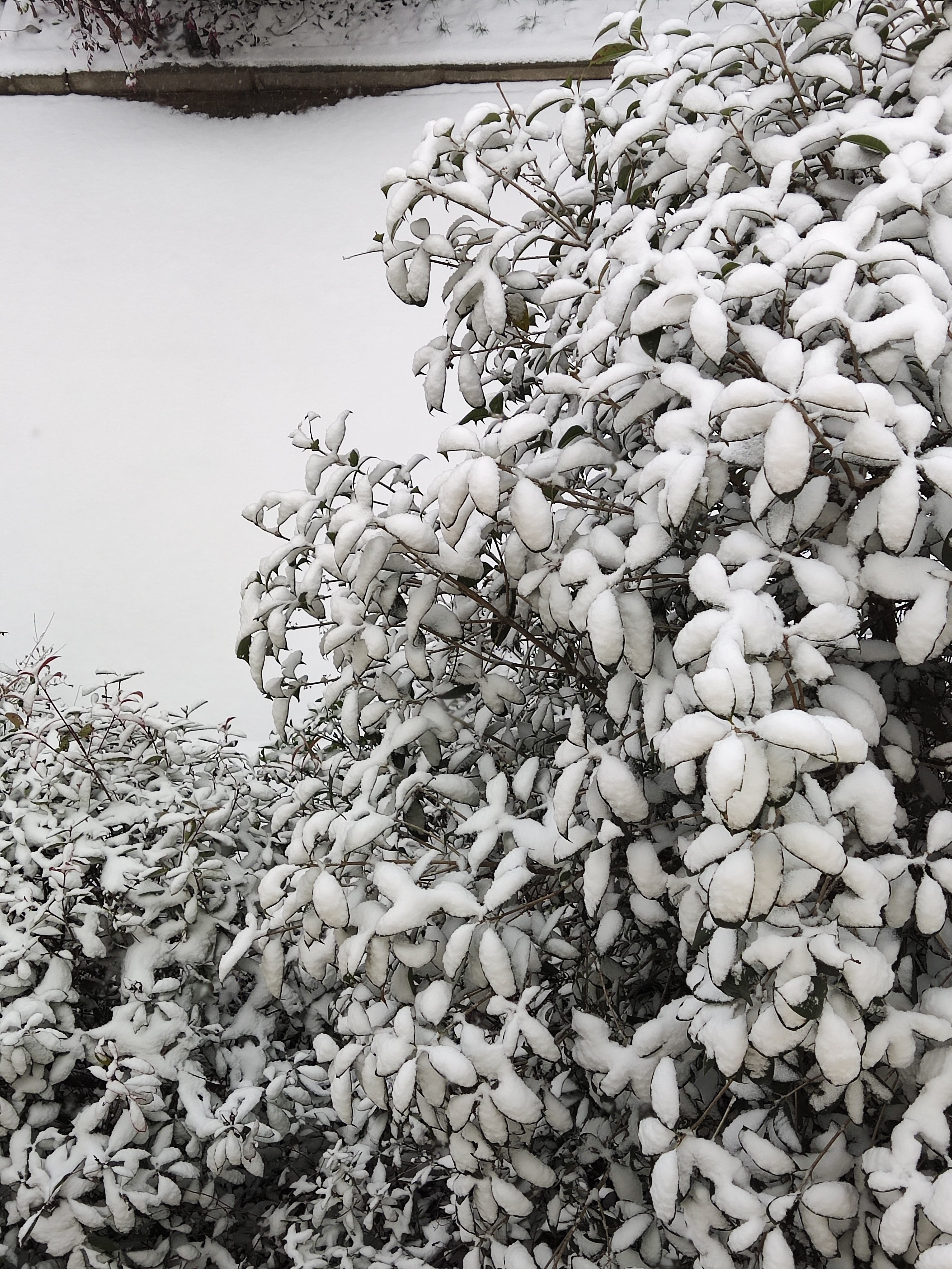 下雪了1