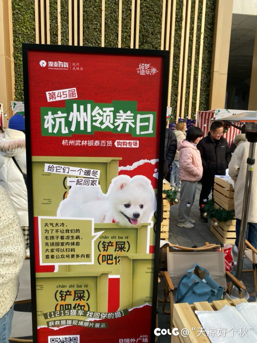今日汪汪1