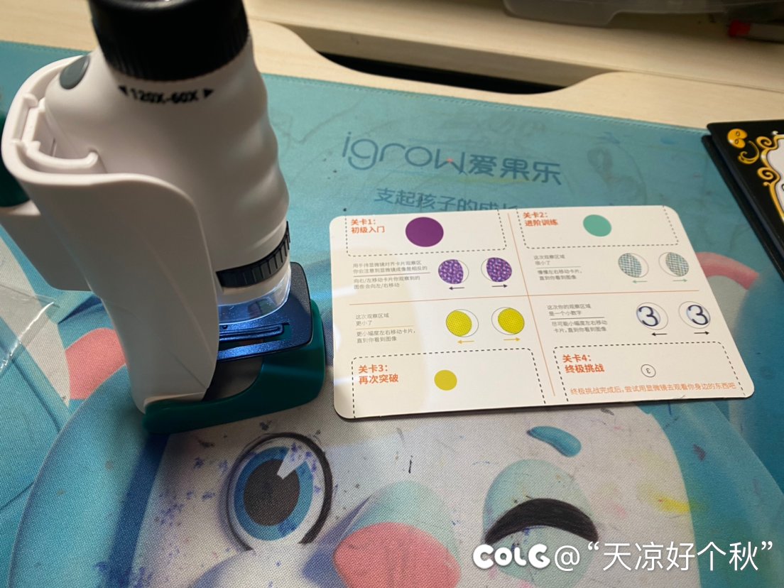 蛮有意思的小玩具2