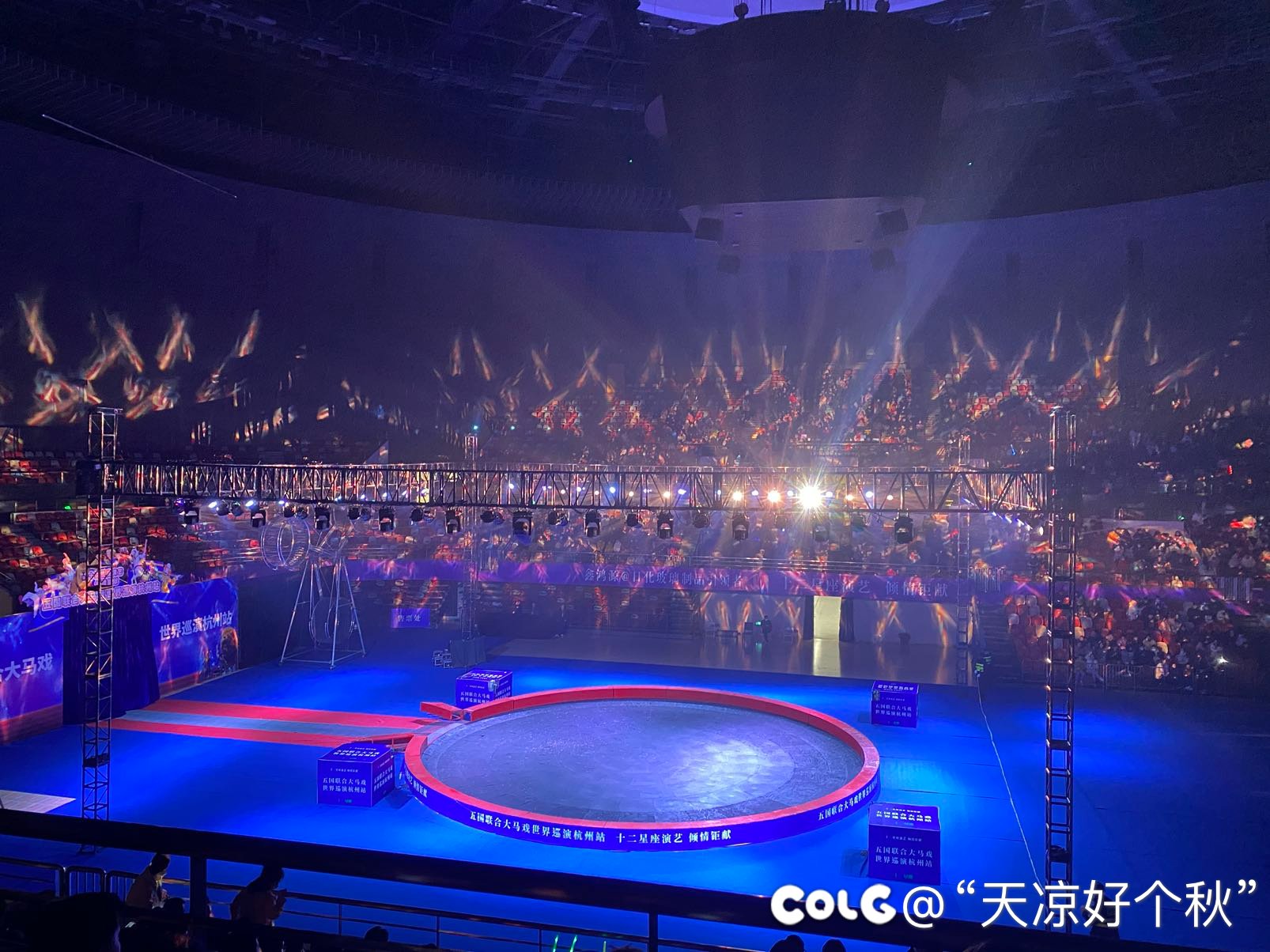 带娃来看马戏表演4