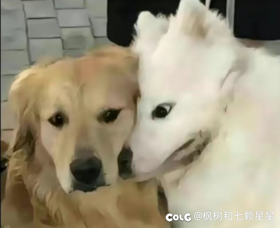 打卡蹭票1