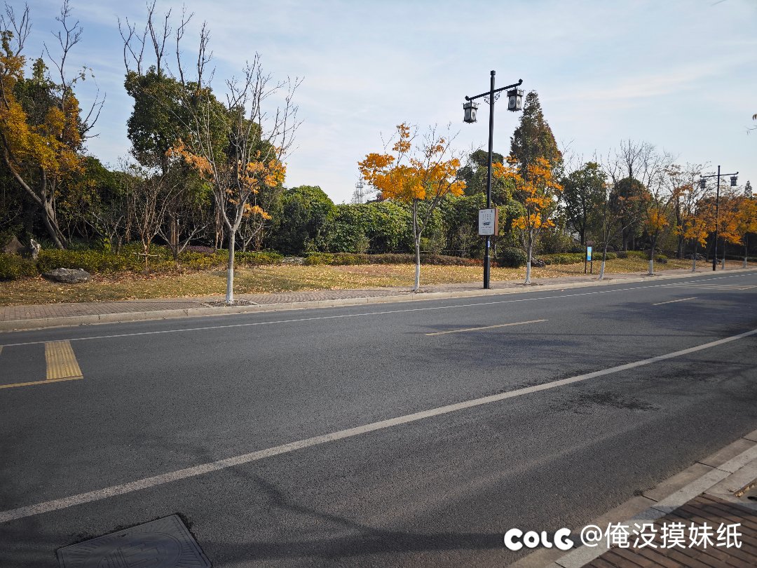 出去绕了一圈（多图）3